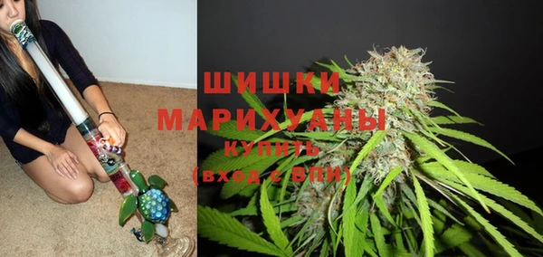 ALPHA-PVP Каменка