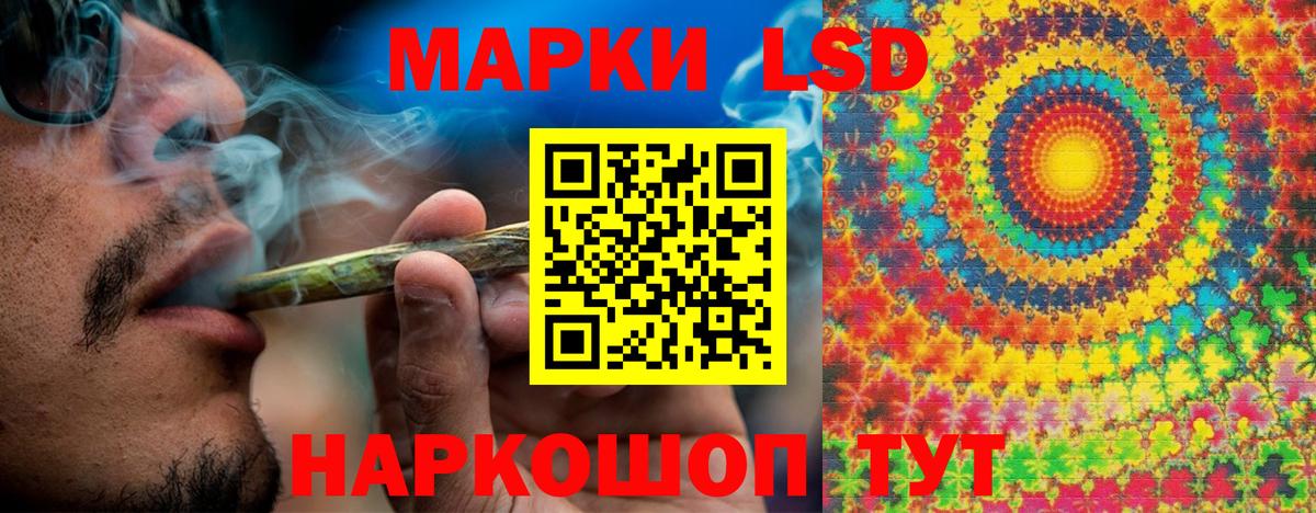 Наркотические марки 1500мкг  сколько стоит  Вход с VPN  Каменка  Наркотические марки 1500мкг 