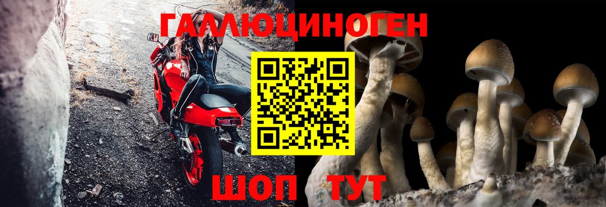 закладка  Галлюциногенные грибы прущие грибы  Вход с VPN  Каменка 